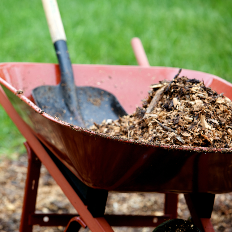 Bringing Your Dream Home to Life: A Landscaping Perspective on Home Remodeling