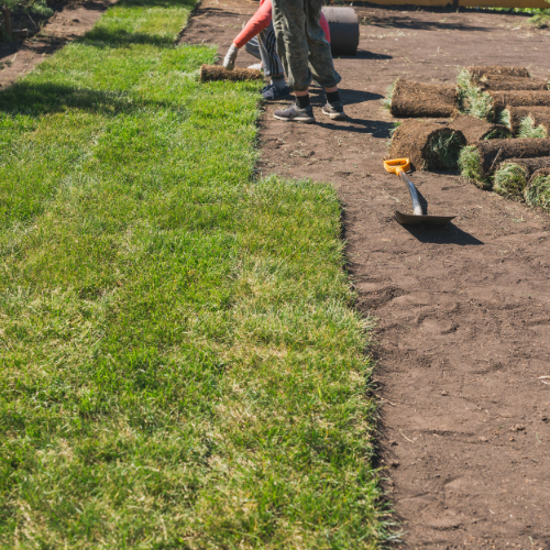 Why Seasonal Landscaping Services Boost Curb Appeal Year-Round