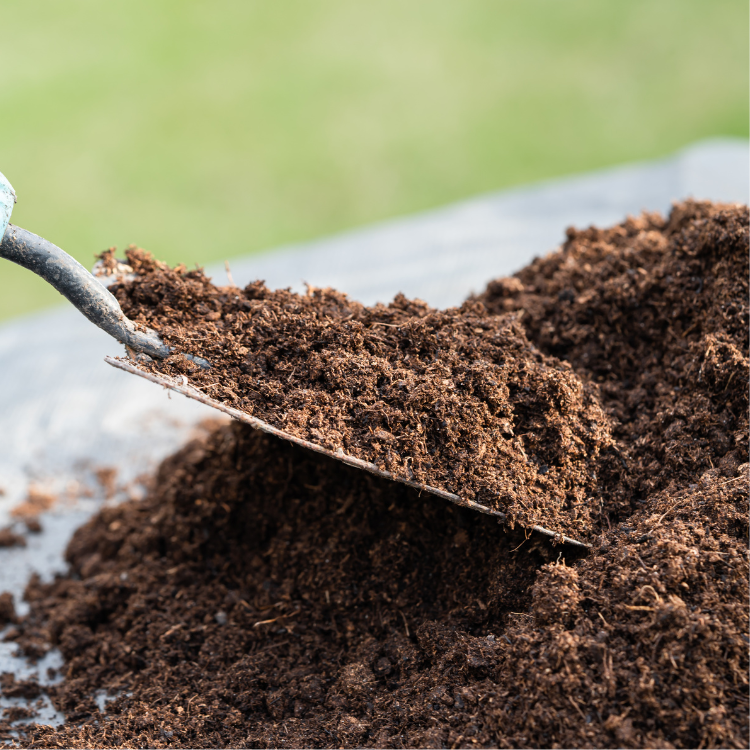How Lawn Aeration Improves Turf Resilience in Texas Soil