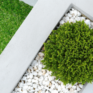 The Environmental and Financial Benefits of Native Landscaping